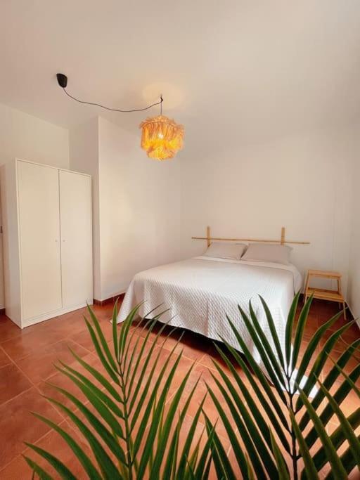 Casa Bamboo Corralejo apartamento luminoso y espacioso, piscina Exterior foto