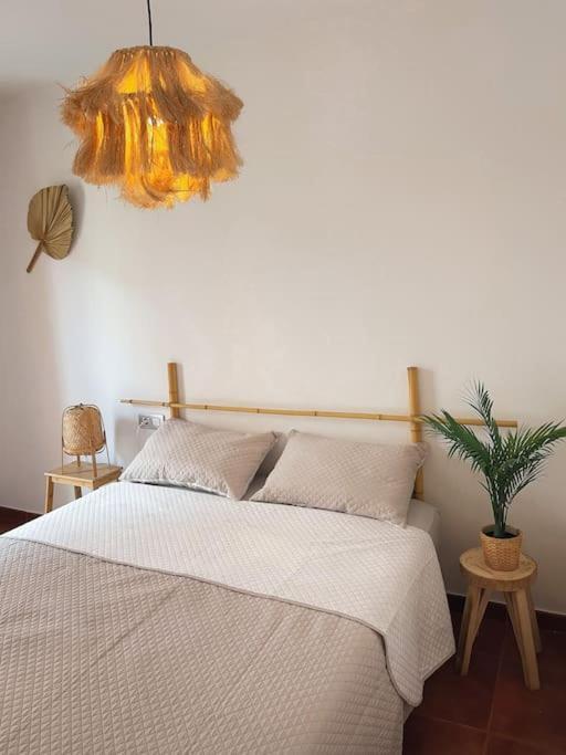 Casa Bamboo Corralejo apartamento luminoso y espacioso, piscina Exterior foto